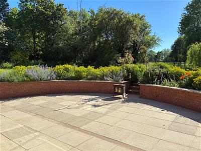 Picture 19